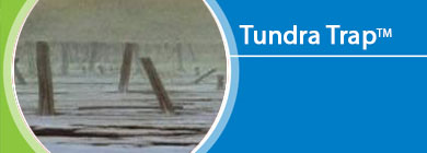 Tundra Trap